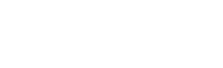 Steeger Immobilienwert – Logo